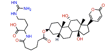 3-(N-Adipoyl argininyl)-gamabufotalin
